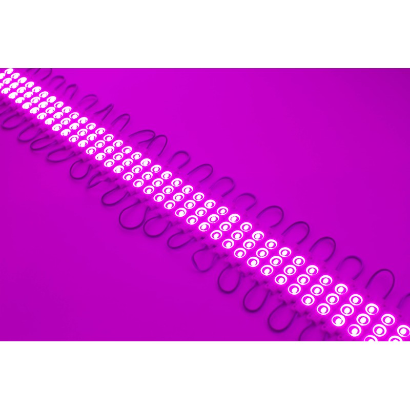 LEDUPDATES BRIGHTEST STORE FRONT WINDOW LED LIGHT Pink color 20ft