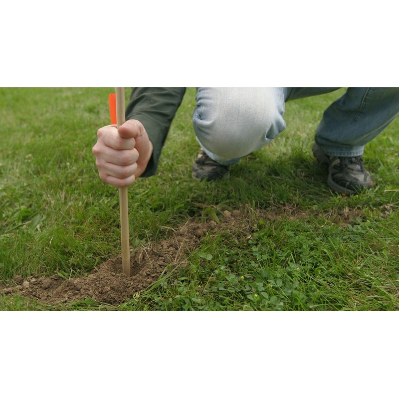 Motomco LTD Tomcat Mole Killer - 39966