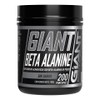 Giant Sports International | Beta-Alanina En Polvo de Alta Pureza
