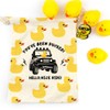 LANBAIHE Ducks Ducking Drawstring Bag, Rubber Duck Bag, Reusable Rubber