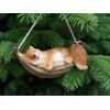 Unbekannt Squirrel in Hammock Ornament
