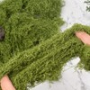 VYNYJOAN Fake Moss Green Artificial Moss for Potted Plant, 5.3OZ