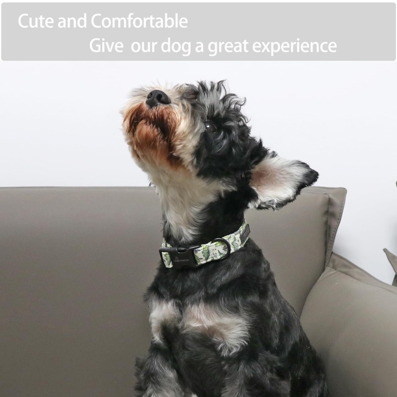 ARING PET Dinosaur Dog Collar-Cute Dog Collar for Small Dogs,