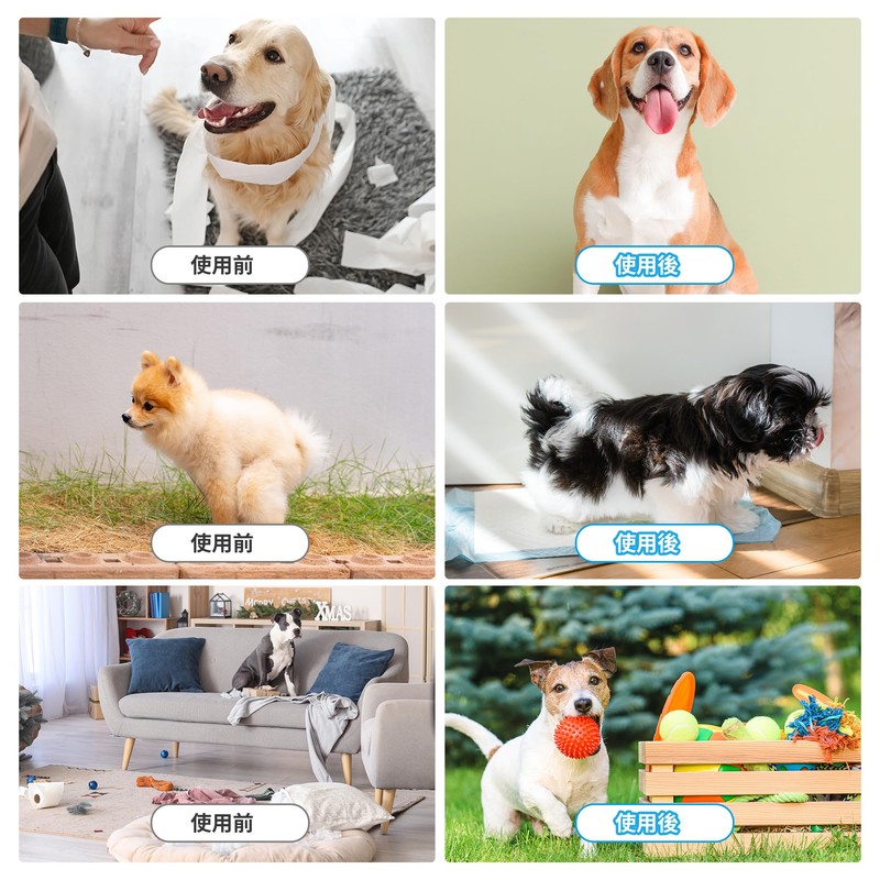 CAPASTEC Clicker Training, For Dogs, Quiet Design, ABS+Stainless Steel +