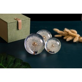 Paperweight Dandelion Dream Ball. Crystal Wishing Ball. Unique Paperweight Made of Dandelion. Gift for Women Men (Mom, Dad, Teacher), Birthday, Wedding, Valentine's Mother's. (8CM)