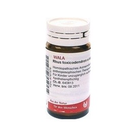 RHUS Toxicodendron E foliis D 6 Globules 20 g