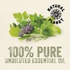 Natural Planet Spanish Rosemary Essential Oil 15ML Natural Pure &