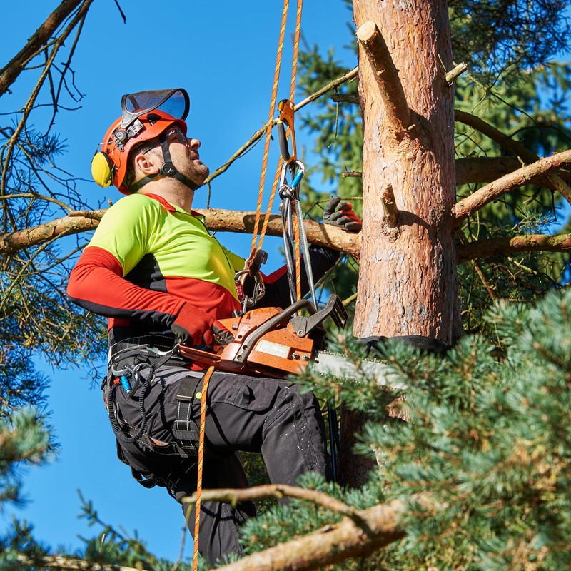 Arborist Rope Tree Rope Polyester Bull Rope (1/2in x 150ft)