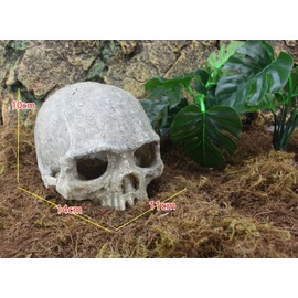 Hewnda Aquarium Decor Resin Artificial Head Skeleton Decoration - Aquarium Otaru Aquarium Decorative Cave Landscape Pet Reptile House