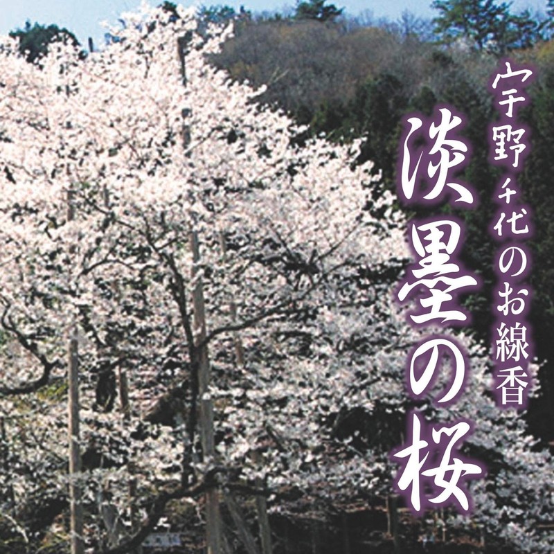 Uno 千代 Shiawase Scented Cones 20 Pack of Incense Sticks Included)