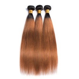 Ombre 1B30 Bundle Dark Brown Straight Human Hair 3 Bundles Ombre Brown Brazilian Remy Hair Extensions Tow Tone Wet and Wavy Bundles 16 18 20 Inch