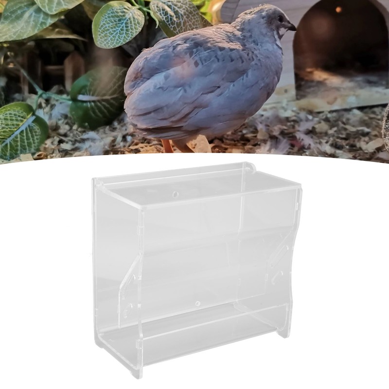 Rutin Chicken Feeder Automatic Clear Acrylic Bird Cage Feeder for