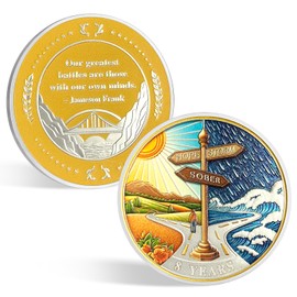 CHURYUML 8 Year Sobriety Coin | Original Hope or Storm Sober Chip | Non-Religious AA Coins Recovery Affirmation Medallions Sobriety Gifts for Anniversary Month & Year for Men & Women in Recovery