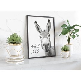 LAVEMA Bathroom Decorative Pictures - Poster DIN A4 without Frame - Funny Wall Decoration - Black White Wall Pictures - Toilet Decoration - Donkey