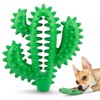 Jeffers Pet Natural Rubber Dog Chew Toy – Green Dental