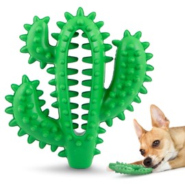 Jeffers Pet Natural Rubber Dog Chew Toy – Green Dental Cactus, Medium – Vanilla Scent, Durable, Non-Toxic, Dishwasher Safe, Interactive Fetch, Tug Toy & Dental Play - Perfect for Training