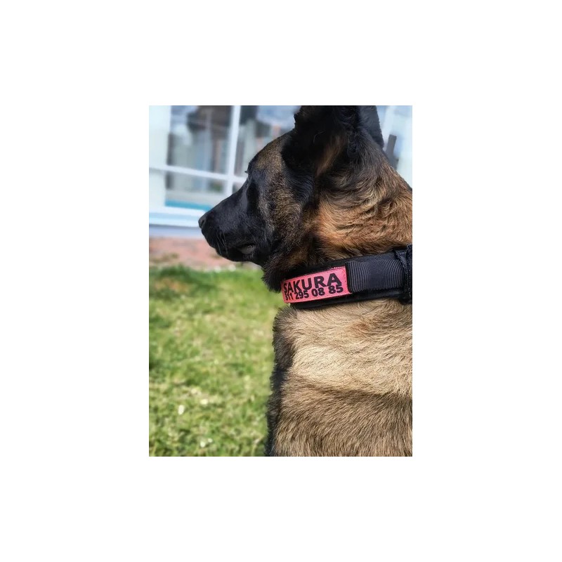 Collar Táctico Para Perro Con Parche De Datos Personalizado