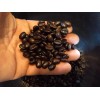 Pande Coffee 1 pcs K- Cup Luwak Coffee. Arabica. Perfect