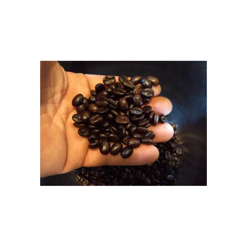 Pande Coffee 1 pcs K- Cup Luwak Coffee. Arabica. Perfect