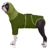 MHaustlie Recovery Suit for Dogs, Dog Abdominal Wounds Bandages, E-Collar