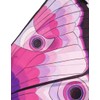Douglas Pink Butterfly Wings