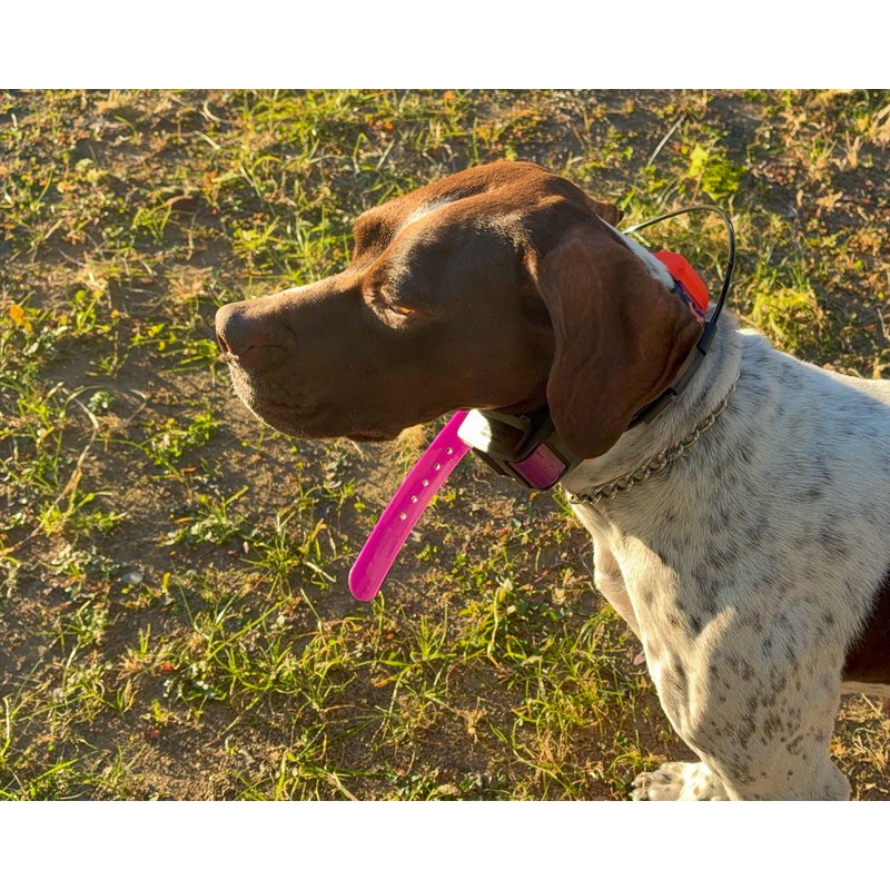 Webbing Collar Width 2.5mm Total Length 70cm Waterproof Outdoor Collar