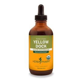 Herb Pharm Herb Pharm Yellow Dock Liquid Extract for Digestive System Support - 4 Ounce
