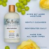 SHEA MOISTURE Daily Hydration Shampoo, Blanco, Coco, 384 Mililitro