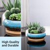 Succulent Pots with Wooden Tray: 7.5" Large Shallow Planter with