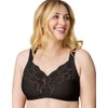 Wonderbra Full Support, Cushioned Strap Wire-free Bra, Black, 38dd