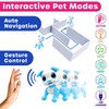 Robo Pets Robot Dog Toy for Girls and Boys -