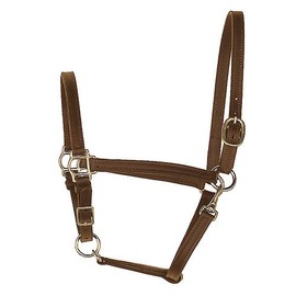Perri's Horse 3/4-Inch Leather Turnout Halter, Havana
