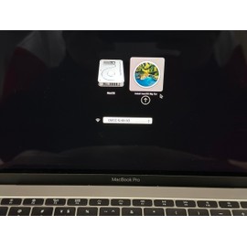 32GB MacOS Big Sur 11.7.10, Bootable USB Drive 3.0,Full Install Mac OS X