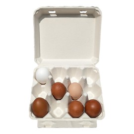 Henlay Vintage White Egg Cartons- Classic 3x4 Style Holds 12 Large Eggs, Sturdy Design Made from Recycled Cardboard (75) White