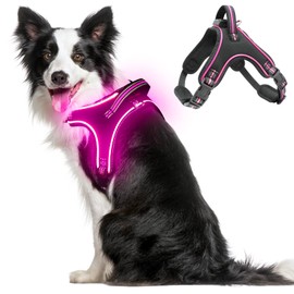 Light Up Dog Harness No Pull LED Dog Harness with Handle Rechargeable Rainproof Dog Harness with Lights for Night Walking Lighted Dog Vest Harness for Small Medium Large Dogs (Pink, L)