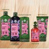 Yves Rocher Plank+Beam ¡NUEVOS Shampoos Yves Rocher! Nueva formula y