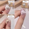HYWWPFLAY Cat Eye Nail Magnet Tool - 4 PCS Rabbit,