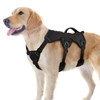 rabbitgoo Escape Proof Dog Harness, Soft Padded Full Body Pet