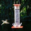 Tube Hummingbird Feeder Hanging Wild Bird Feeder for Outdoor Yard