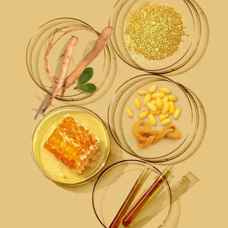 네이처리퍼블릭 Ginseng Royal Silk Essence