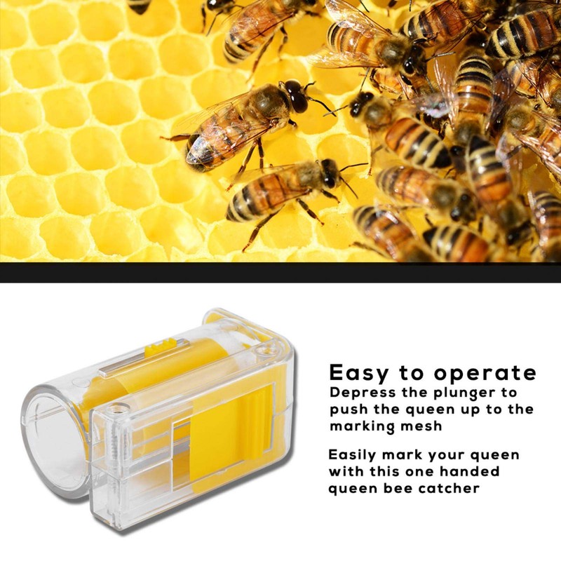 Haofy Bee Marking Pen Kits Queen Bee Marker Catcher Plastic