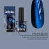 Esmalte de uñas magnético azul negro | Efecto ojo de
