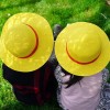 Shuang.W One Piece Luffy Straw Hat Anime Dress Up Gorra