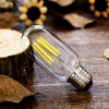 YFXRLIGHT Dimmable T45 LED Edison Bulb,2700K Warm White,6W Antique Tubular