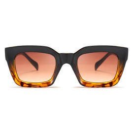 FEISEDY Classic Women Sunglasses Fashion Thick Square Sun Glasses Chunky Frame UV400 B2471