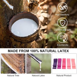 Flexband Resistance Bands, [Set of 5] Skin-Friendly Resistance Fitness Exercise Loop Bands with 5 Different Resistance Levels (Pink - Purple), G3227