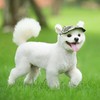 Dog Baseball Cap Outdoor Pet Sun Hat Summer Canvas Visor