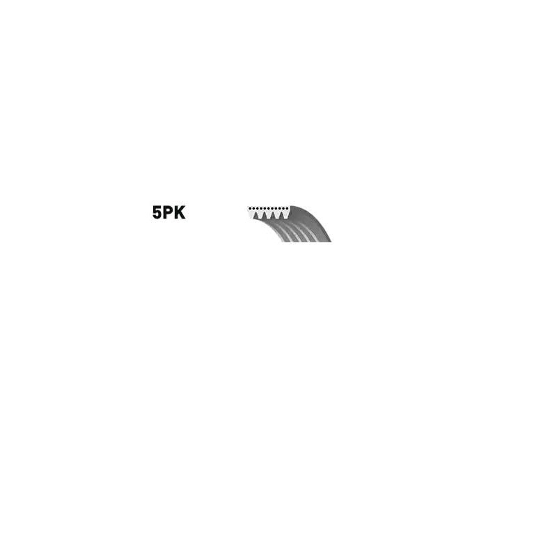 Bosch 1 987 946 238 V-Ribbed Belt