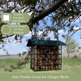 Backyard Essentials Double Suet Feeder with Green Metal Roof, Holds 2 Suet Cakes, Hanging Bird Feeder for Woodpeckers, Blue Jays, Chickadees, Nuthatches