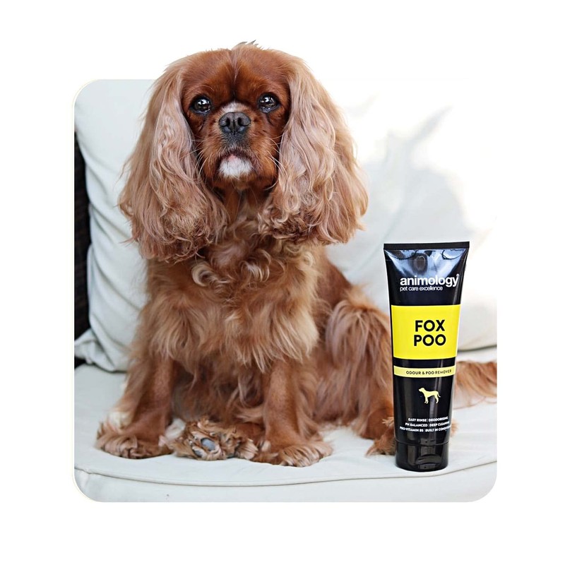 Animology Fox Poo Shampoo For Dogs | With Conditioners and
